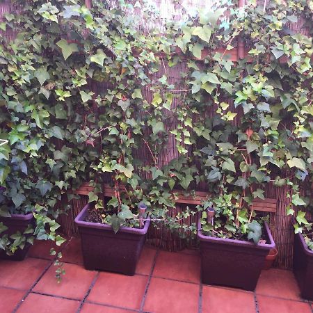 Bonito Piso Centro De Los Boliches Fuengirola Exteriör bild