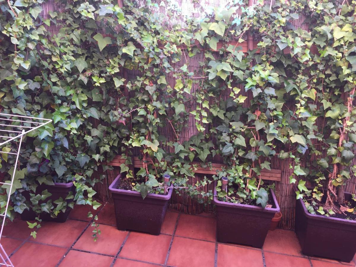 Bonito Piso Centro De Los Boliches Fuengirola Exteriör bild